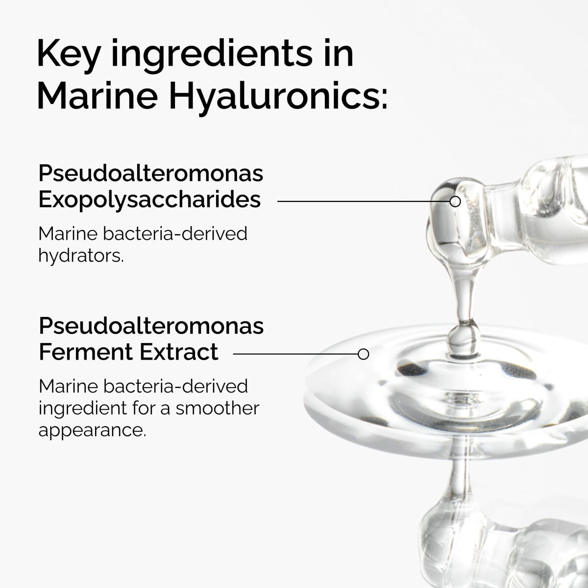 marine-hyaluronics-y7 FY25-D41247-ORD-Web-PDP-Marine-Hya-1x1-EN-2a.jpg