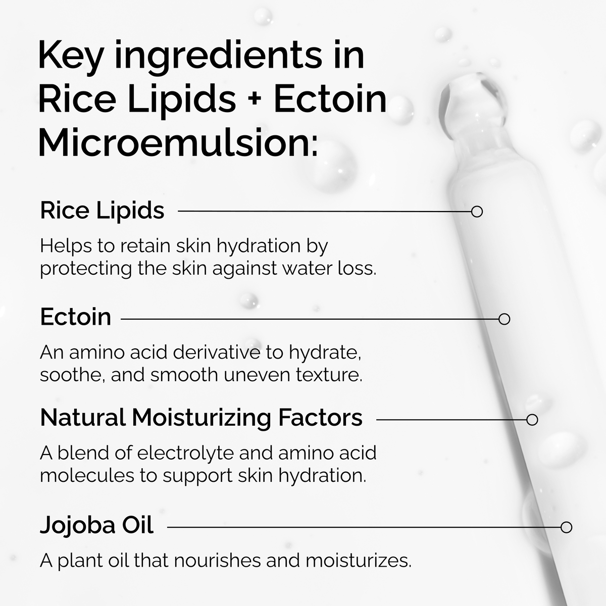 rice-lipids-ectoin-microemulsion-z1 ord-rice-lipids-ectoin-microemulsion-key-ingredients.png