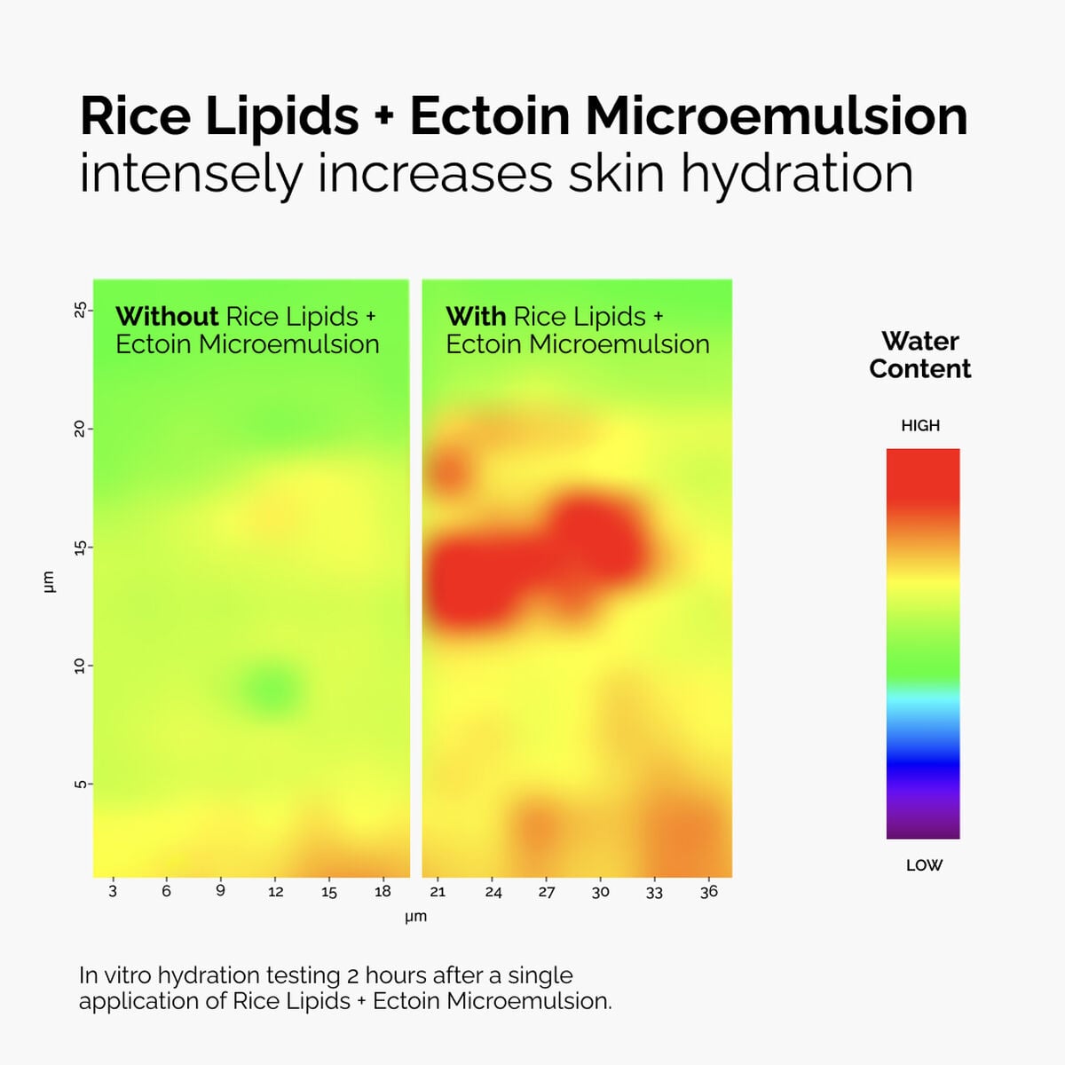 rice-lipids-ectoin-microemulsion-z1 ord-rice-lipids-ectoin-microemulsion-thermal-before-after.jpg
